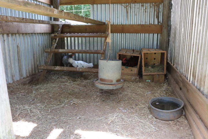8954 Bells Highway Ruffin, SC 29475 - Photo 23 of 80 IMG_7439