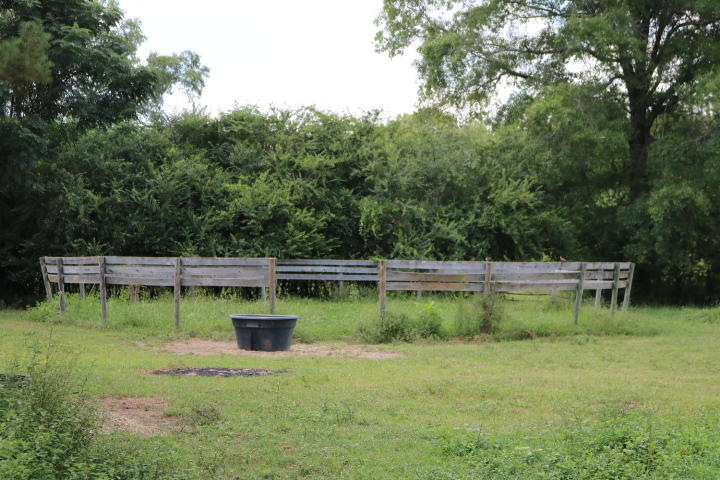 8954 Bells Highway Ruffin, SC 29475 - Photo 27 of 80 IMG_7443