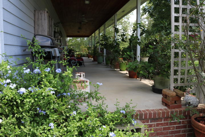 8954 Bells Highway Ruffin, SC 29475 - Photo 34 of 80 IMG_7452