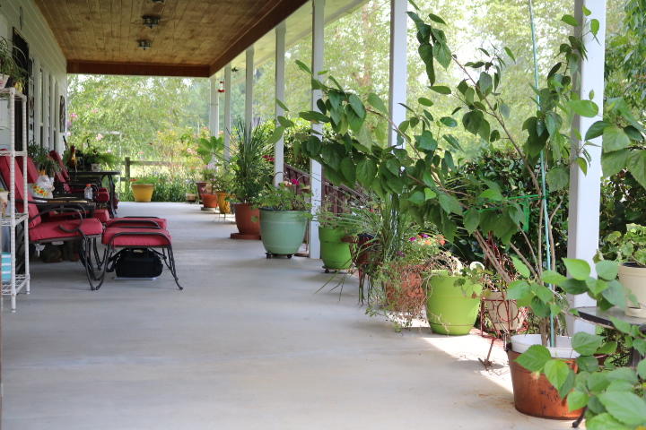 8954 Bells Highway Ruffin, SC 29475 - Photo 35 of 80 IMG_7453