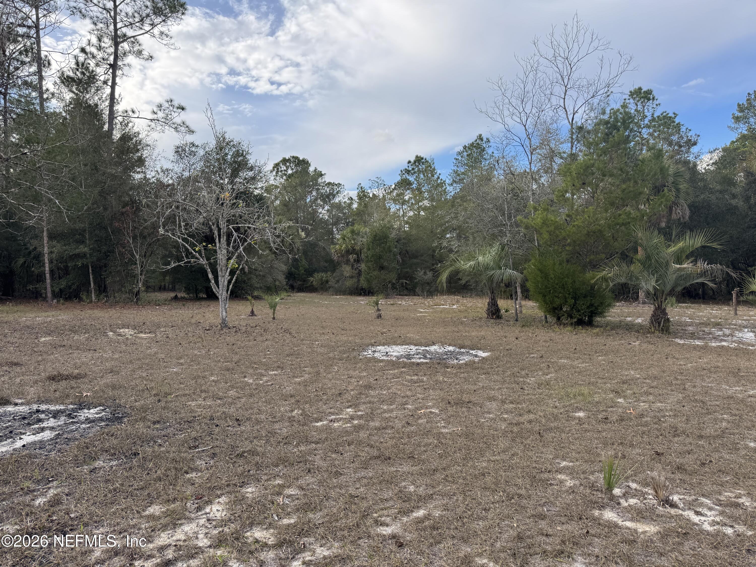 850 Cousintown Road Interlachen, FL 32148 - Photo 22 of 27 a view of a field with trees in the background