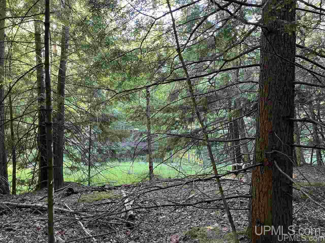 Tbd Tbd Saari Road Lanse, MI 49946 - Photo 13 of 27