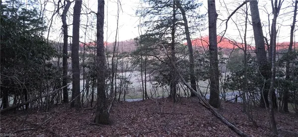 $32,000 | 0 Air Bellows Gap Road, Sparta, NC 28675