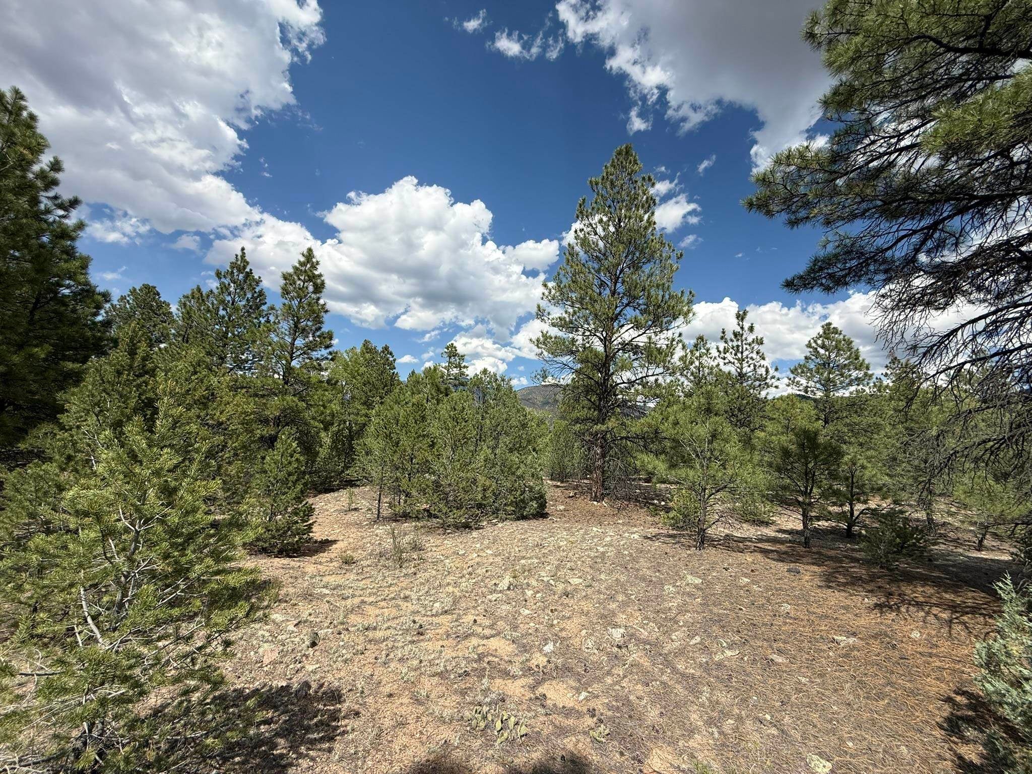 2318 Old Red River Road, Unit B Questa, NM 87556 - Photo 23 of 35 Gallery Image 23