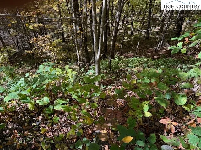 $22,500 | Lot 53-53a Poplar Trail, Creston, NC 28615