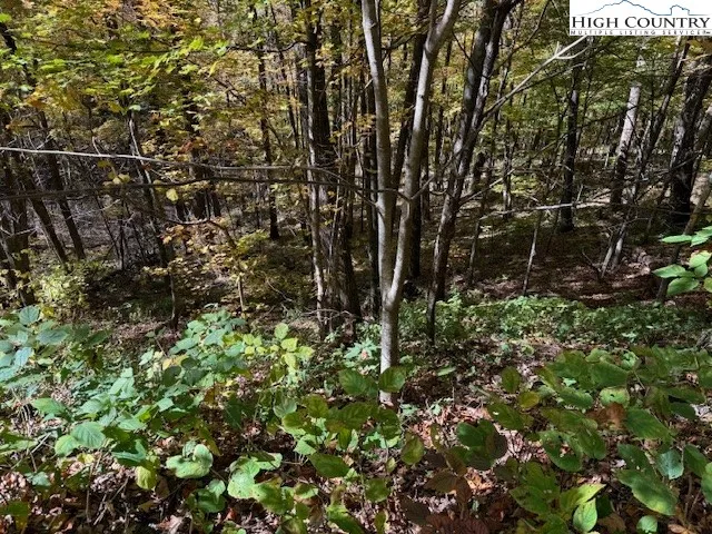 $22,500 | Lot 53-53a Poplar Trail, Creston, NC 28615