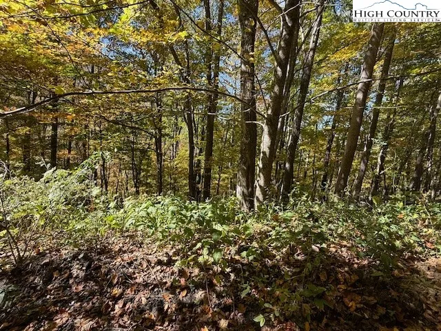 $22,500 | Lot 53-53a Poplar Trail, Creston, NC 28615