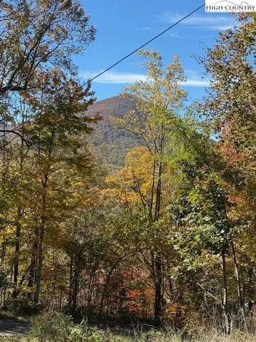 $22,500 | Lot 53-53a Poplar Trail, Creston, NC 28615