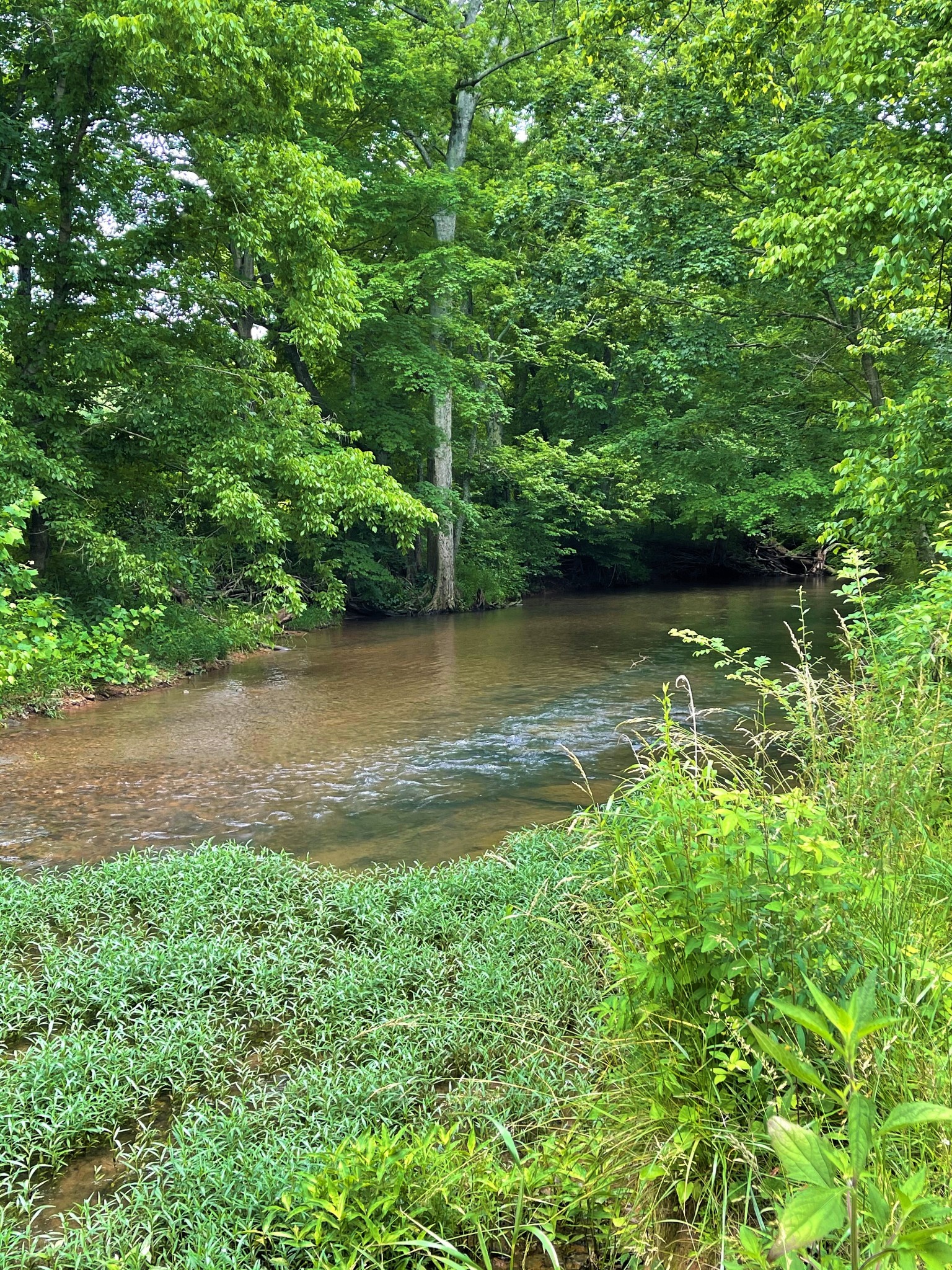 1601 Willow Branch Road Dickson, TN 37055 - Photo 27 of 42 Gallery Image 27