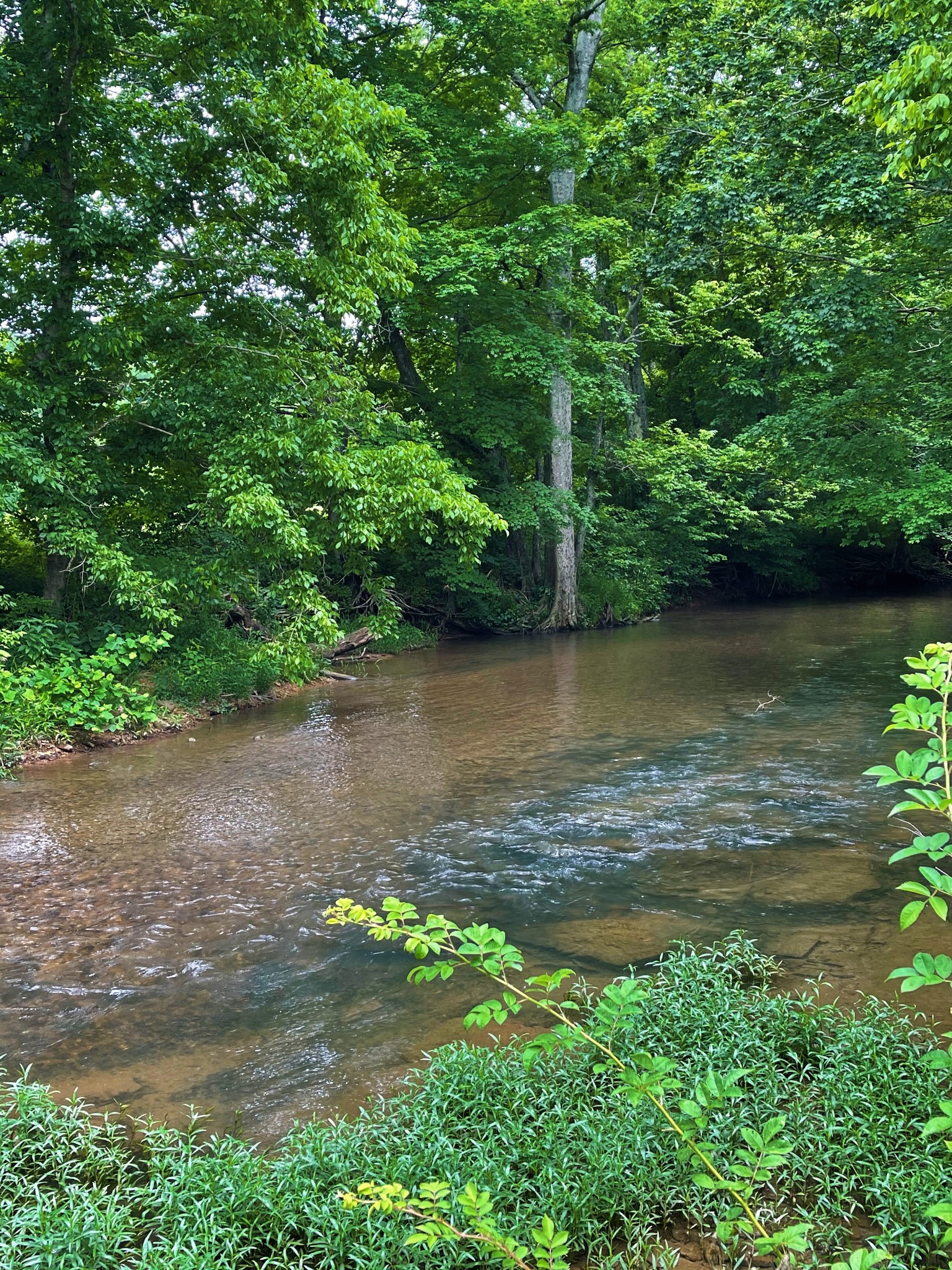 1601 Willow Branch Road Dickson, TN 37055 - Photo 28 of 42 Gallery Image 28