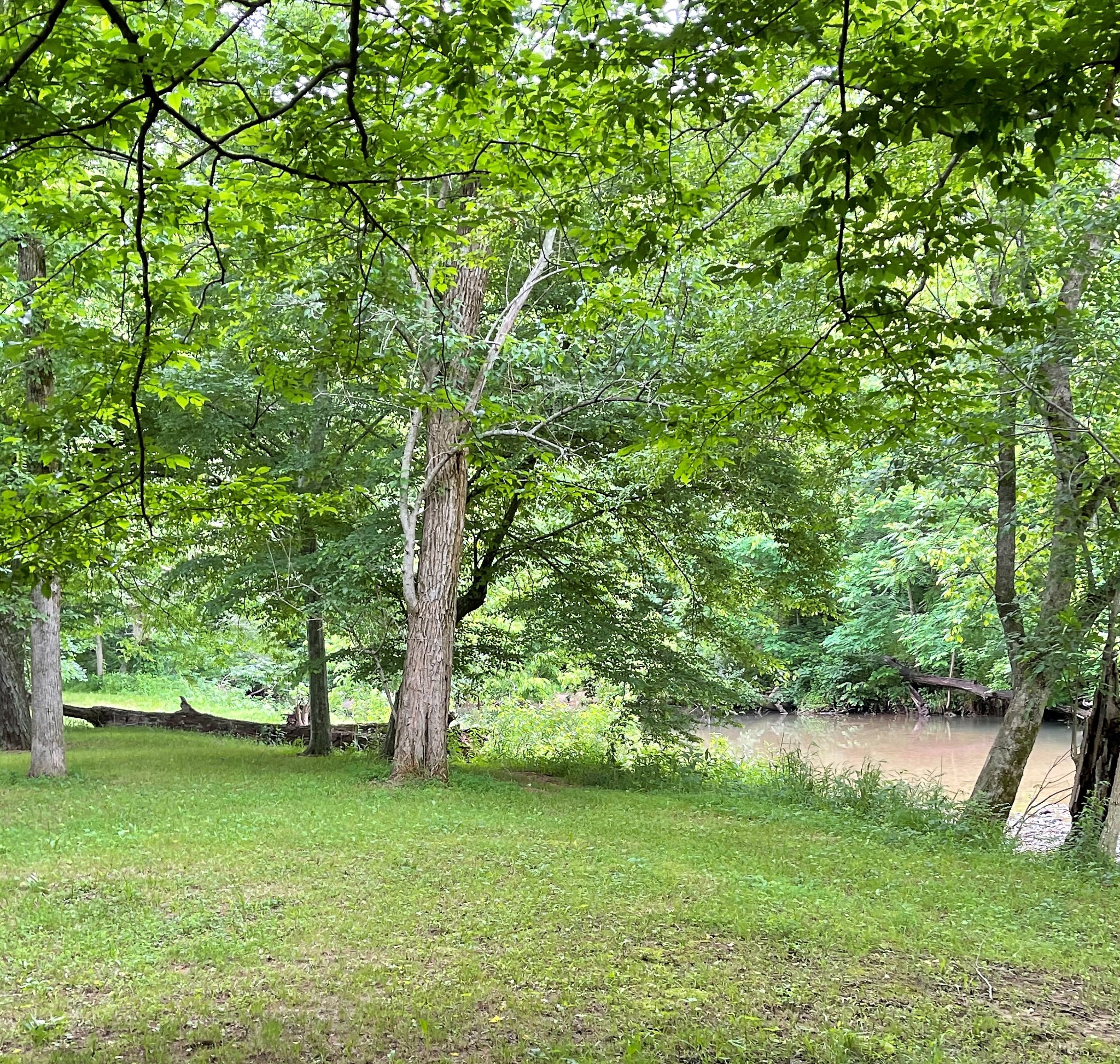 1601 Willow Branch Road Dickson, TN 37055 - Photo 33 of 42 Gallery Image 33