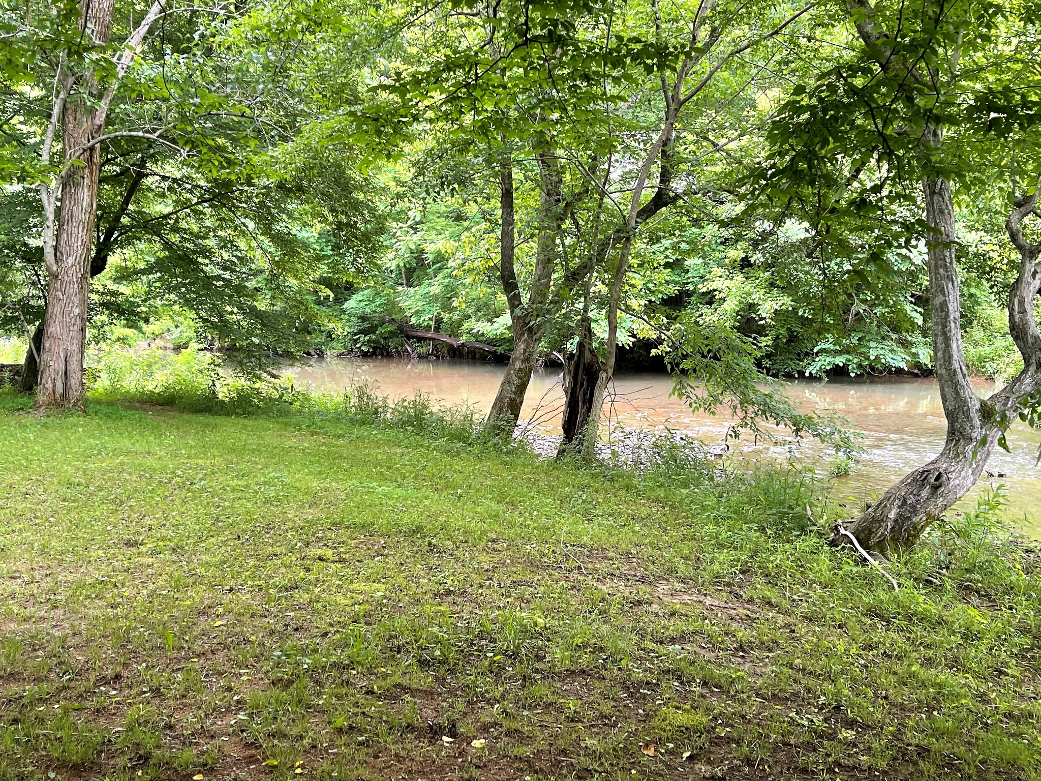 1601 Willow Branch Road Dickson, TN 37055 - Photo 34 of 42 Gallery Image 34