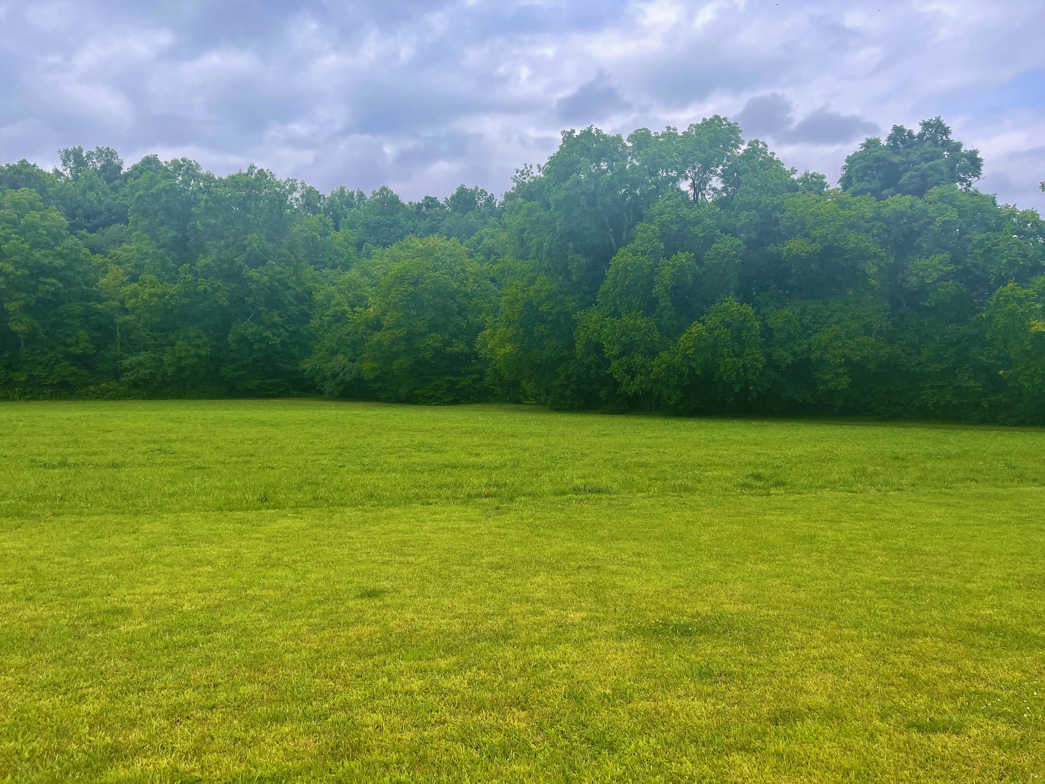 1601 Willow Branch Road Dickson, TN 37055 - Photo 40 of 42 Gallery Image 40