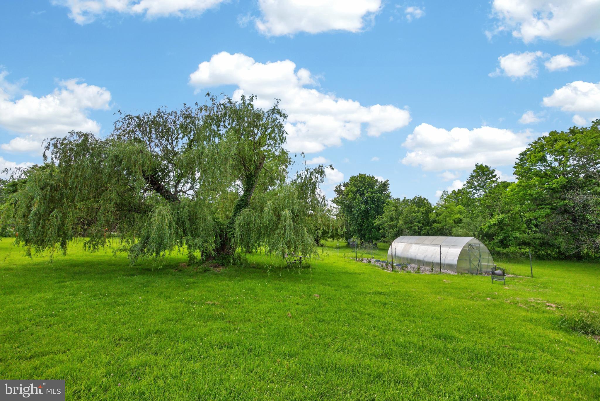 541 Byers Road Chester Springs, PA 19425 - Photo 26 of 33 yard with Greenhouse