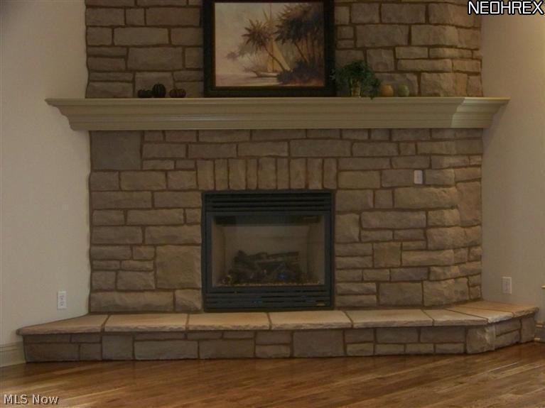 9500 Springfield Road, Unit 12 Youngstown, OH 44514 - Photo 6 of 25 SANDSTONE GAS FIREPLACE WTIH RAISED HEARTH