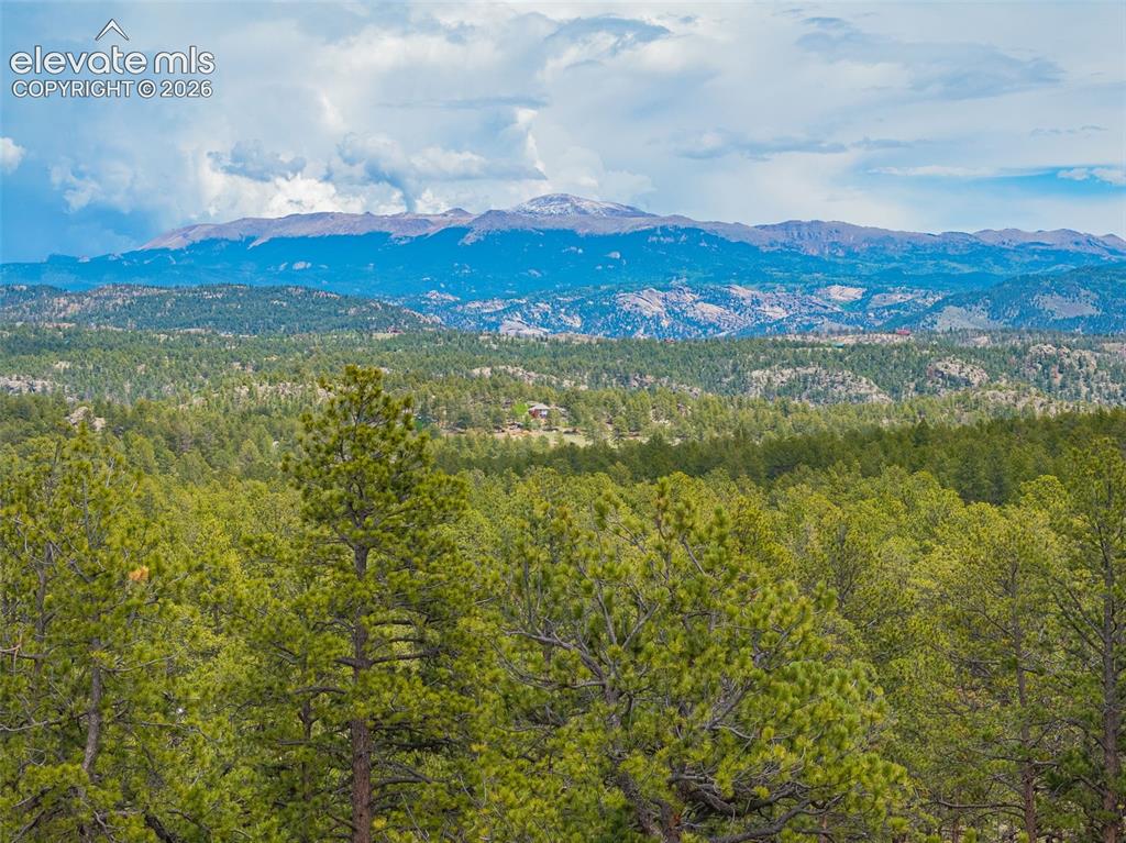 4250 Doe Valley Road Guffey, CO 80820 - Photo 14 of 35 Pikes Peak from top of lot.
