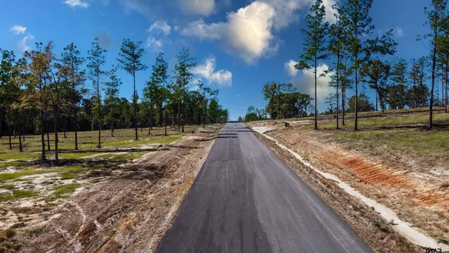 $221,970 | 15482 Aniston Lane, Flint, TX 75762