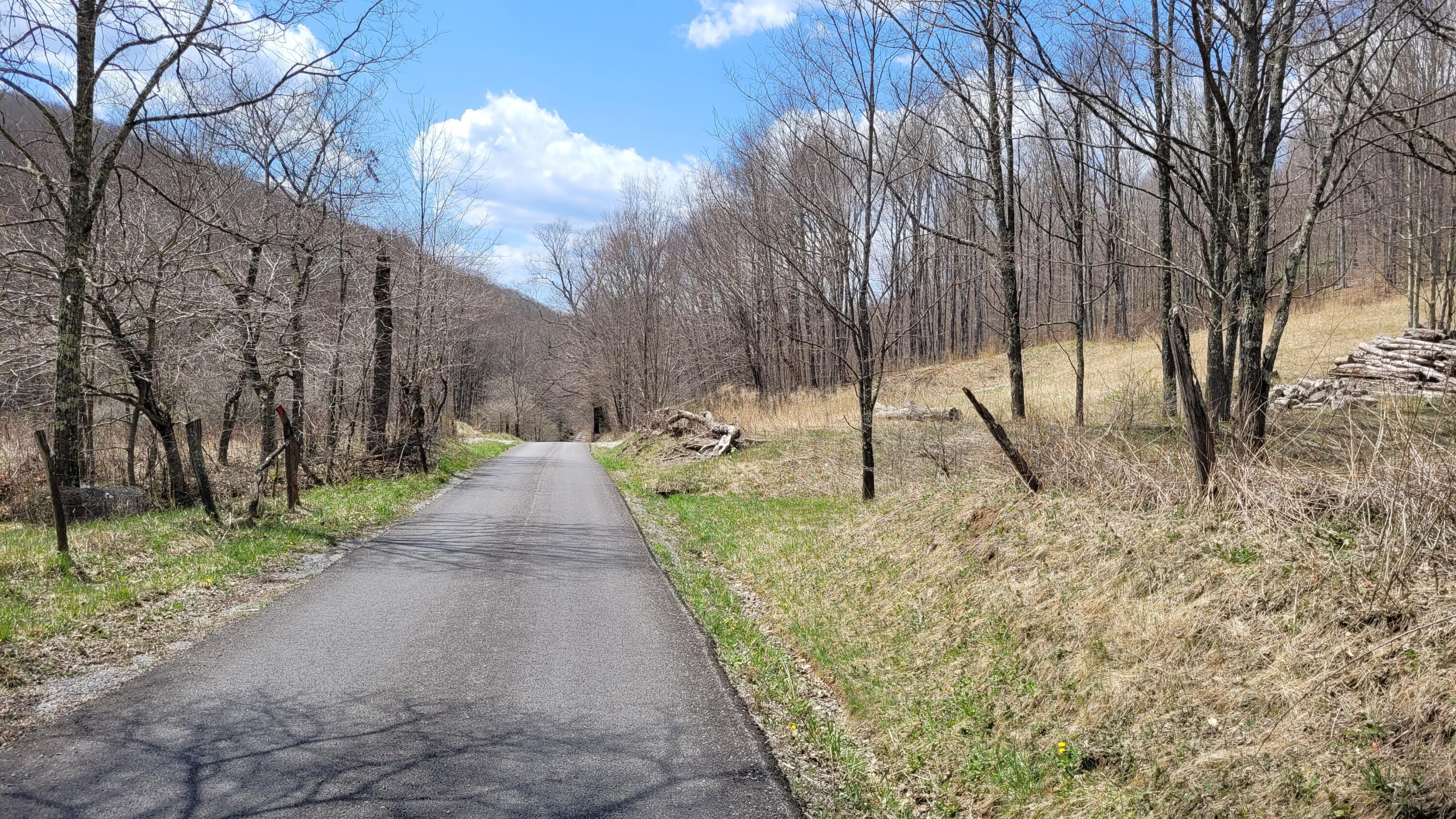 Dry Branch Road Valley Head, WV 26294 - Photo 24 of 24 Gallery Image 24
