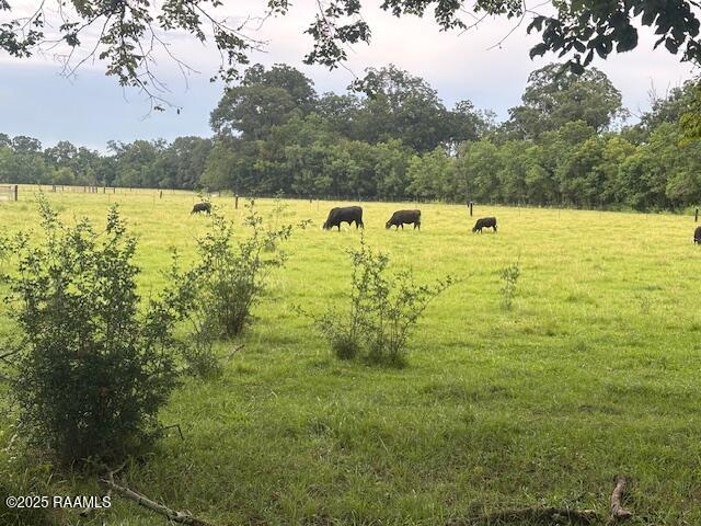 0 Armand Street Ville Platte, LA 70586 - Photo 2 of 4 IMG_6124