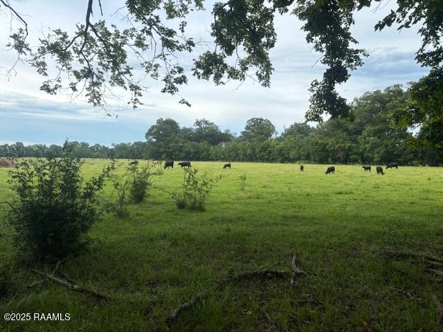 0 Armand Street Ville Platte, LA 70586 - Photo 3 of 4 IMG_6125