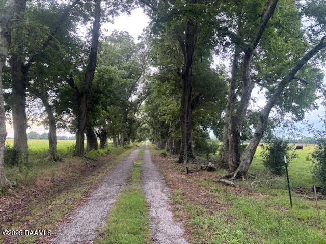 0 Armand Street Ville Platte, LA 70586 - Photo 4 of 4 IMG_6128