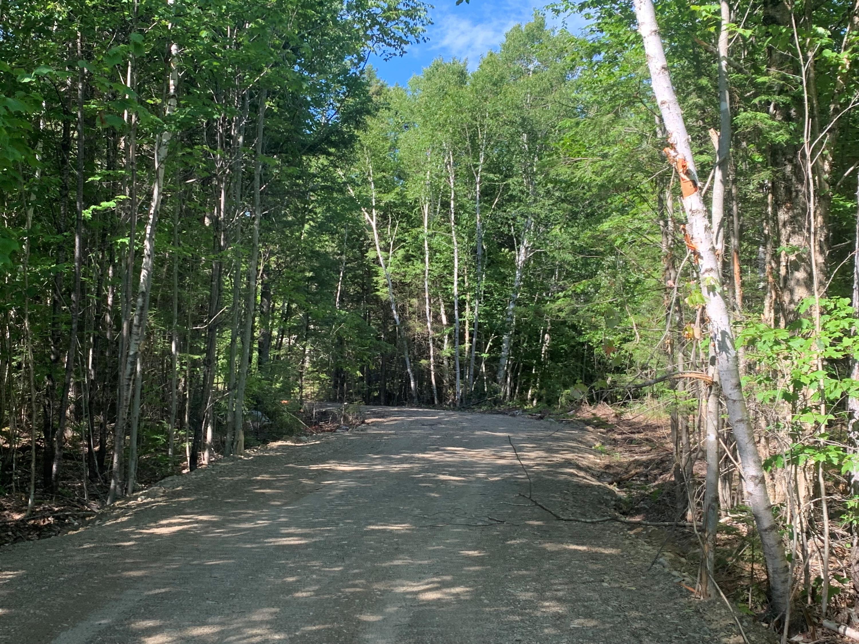 Lot 13 Trails End Road Lincoln, ME 04457 - Photo 5 of 9 MLS5