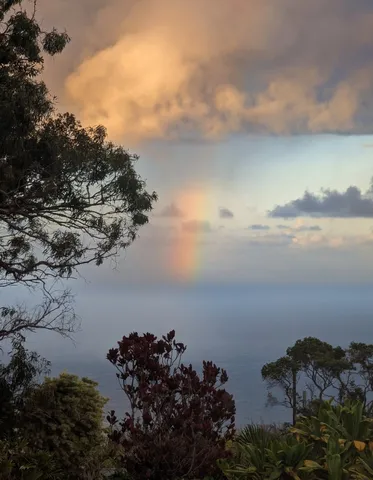 $569,000 | 45-3310 Kamani Street, Honokaa, HI 96727