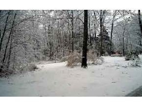 72 Holman Hill Road Chesterfield, NH 03462 - Photo 2 of 9