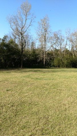 Yale Yale Road Barnwell, SC 29812 - Photo 1 of 1