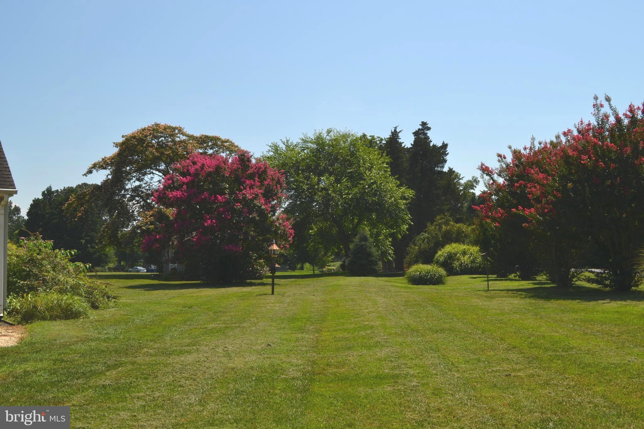 Gorgeous backyard