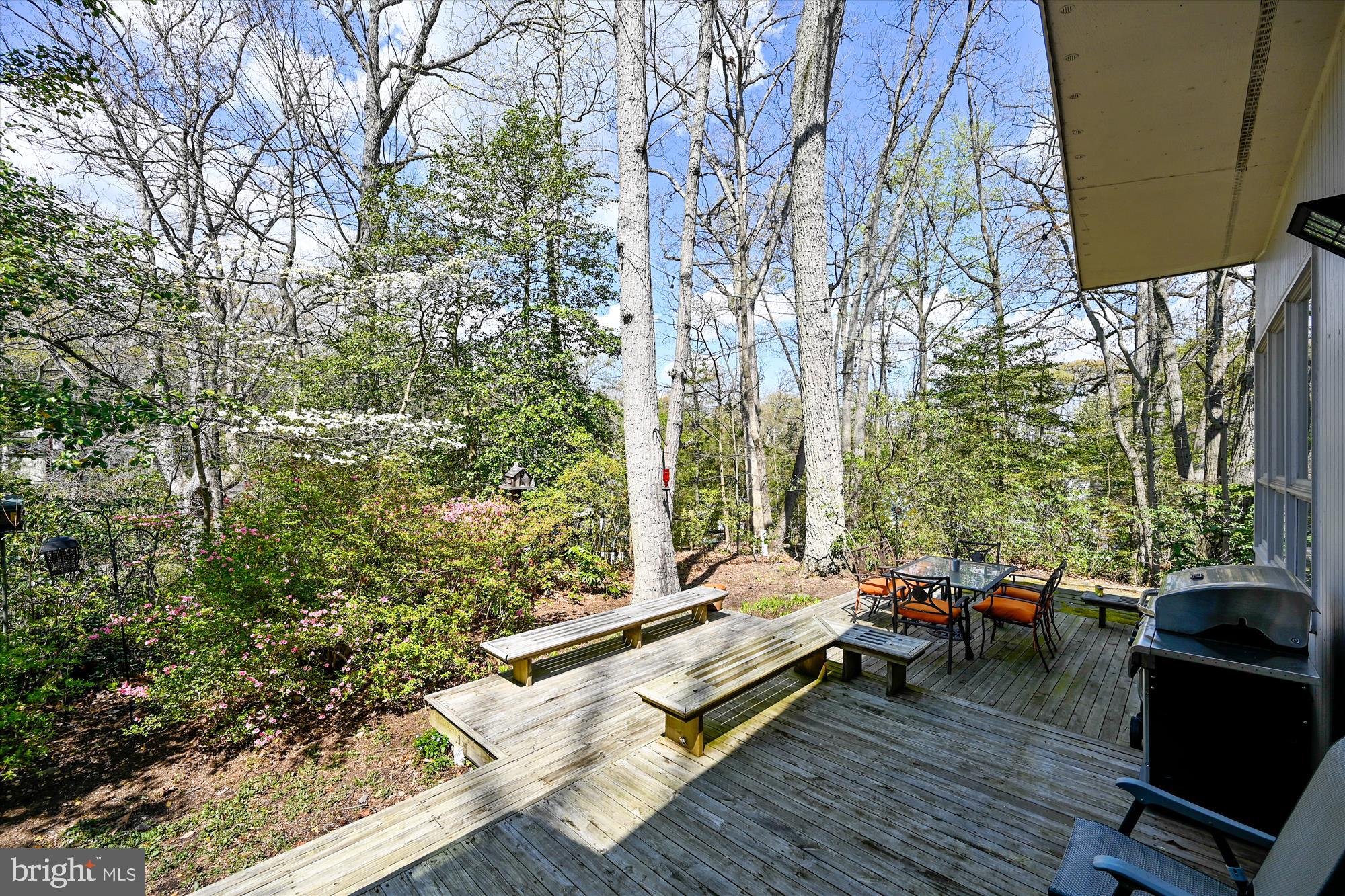 8 Waters Road Severna Park, MD 21146 - Photo 33 of 49 Ready to plan a BBQ?