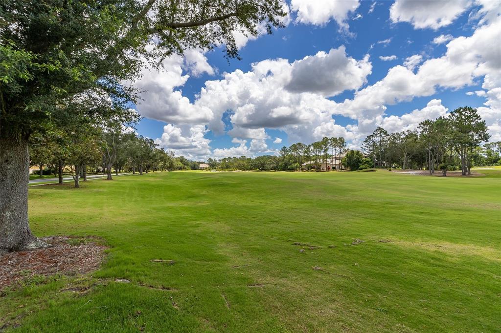 8351 Bowden Way Windermere, FL 34786 - Photo 54 of 71