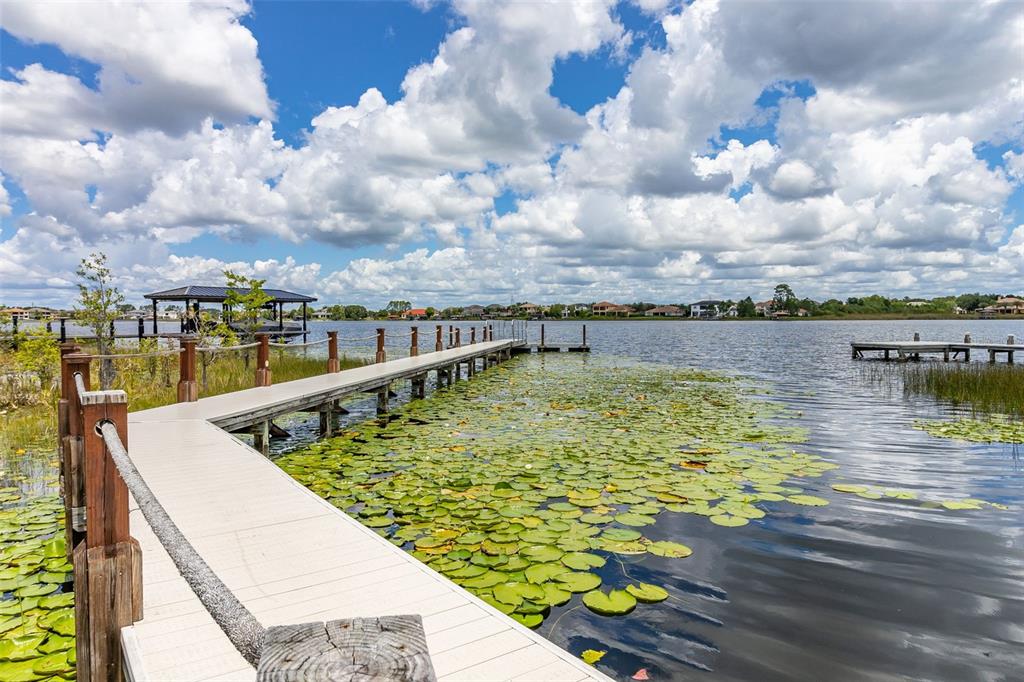 8351 Bowden Way Windermere, FL 34786 - Photo 56 of 71