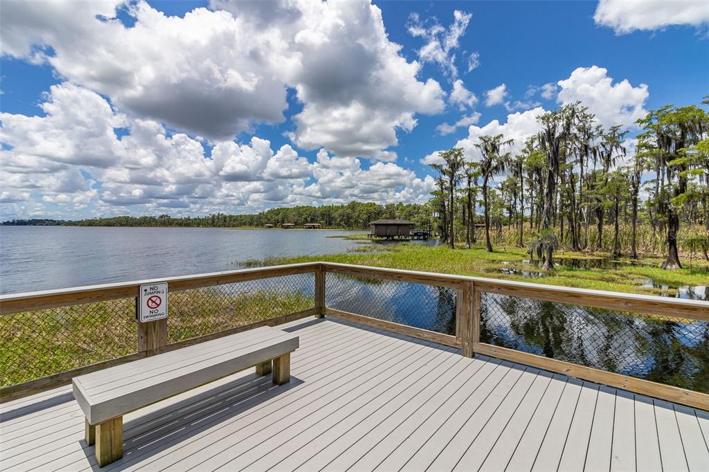 8351 Bowden Way Windermere, FL 34786 - Photo 64 of 71