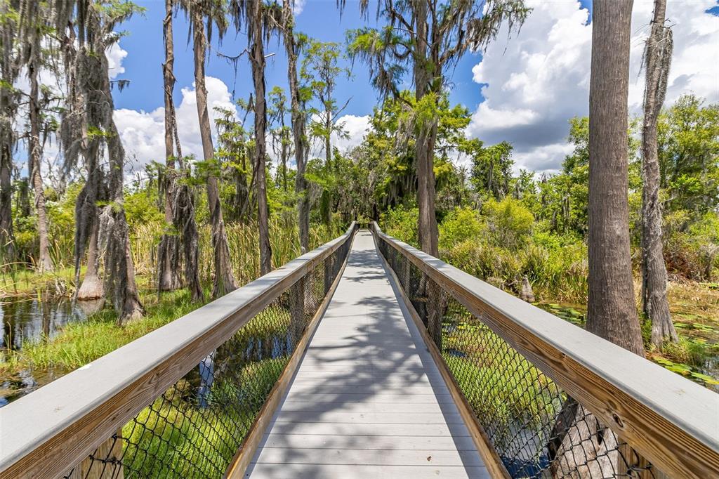 8351 Bowden Way Windermere, FL 34786 - Photo 66 of 71