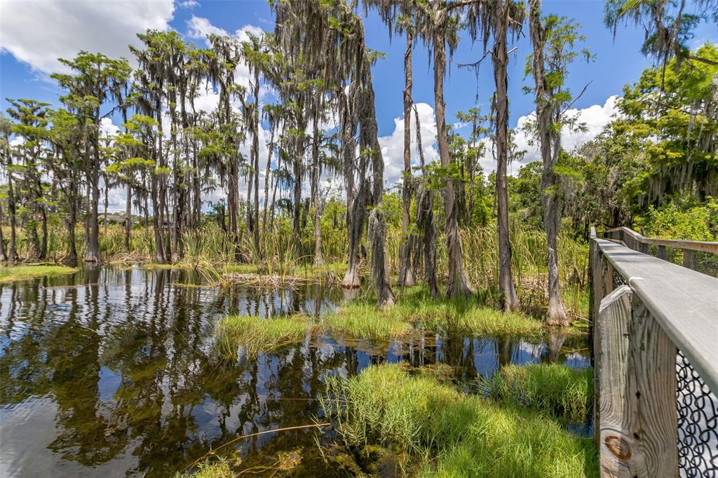 8351 Bowden Way Windermere, FL 34786 - Photo 67 of 71