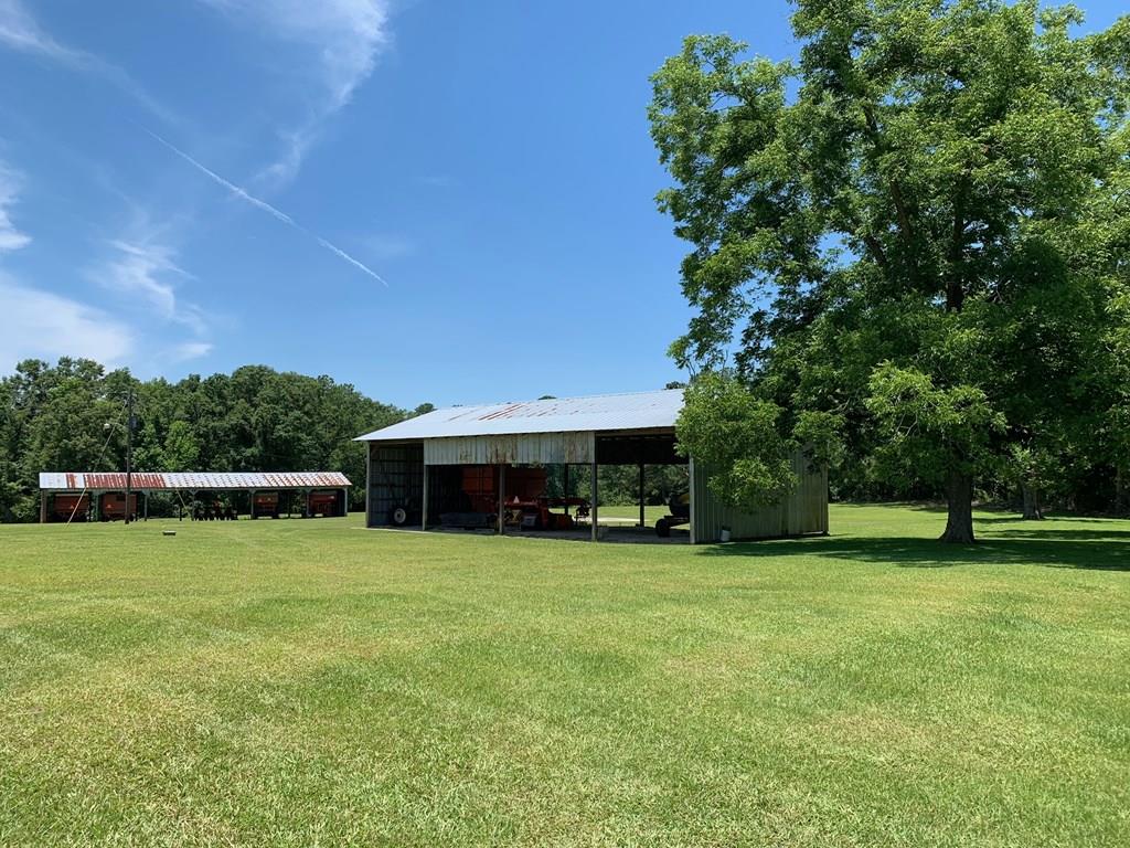 0 South Co Road Ashford, AL 36312 - Photo 1 of 16