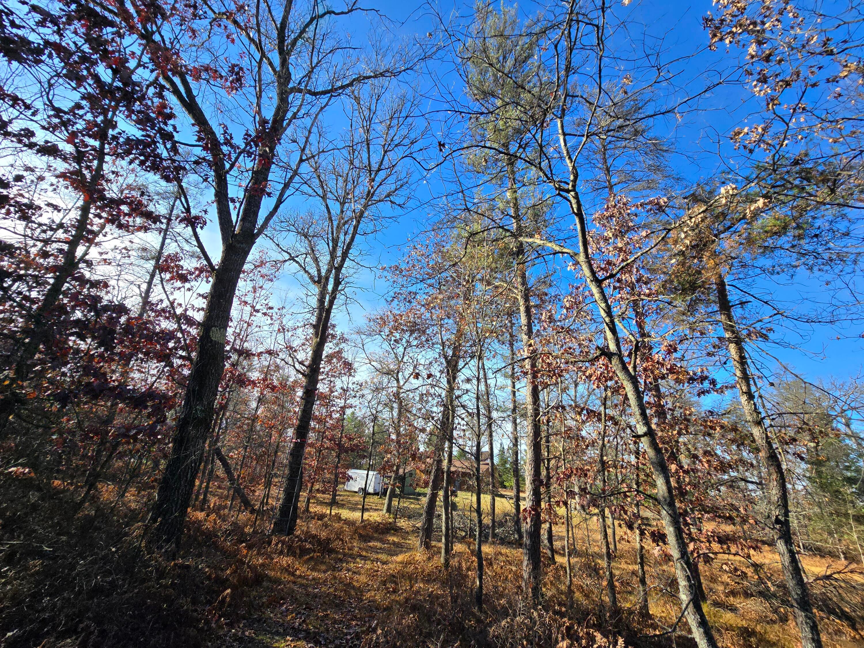 1500 Hardy Grade Road Curran, MI 48728 - Photo 51 of 81 Gallery Image 51