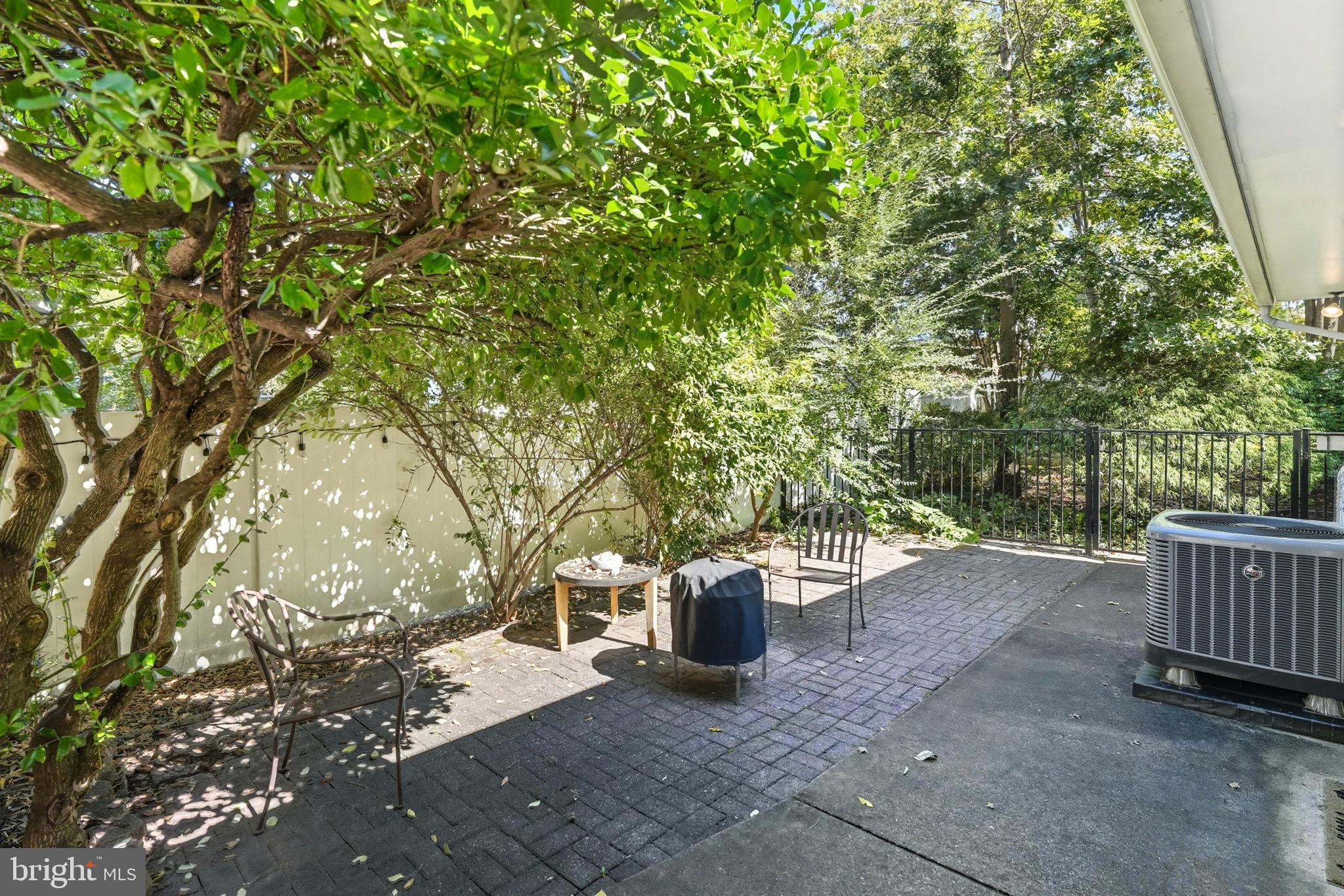 7317 Floyd Avenue Springfield, VA 22150 - Photo 7 of 33 Serene outdoor retreat with lush greenery.