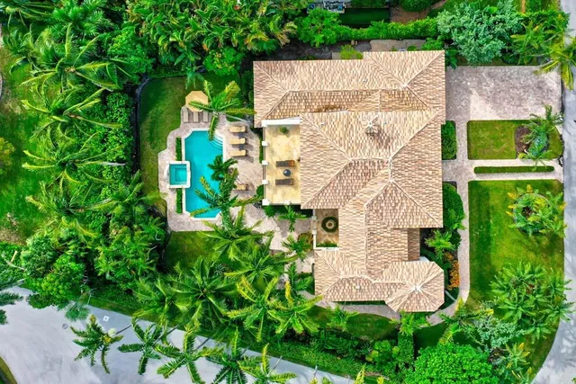 an aerial view of a house with a yard and potted plants