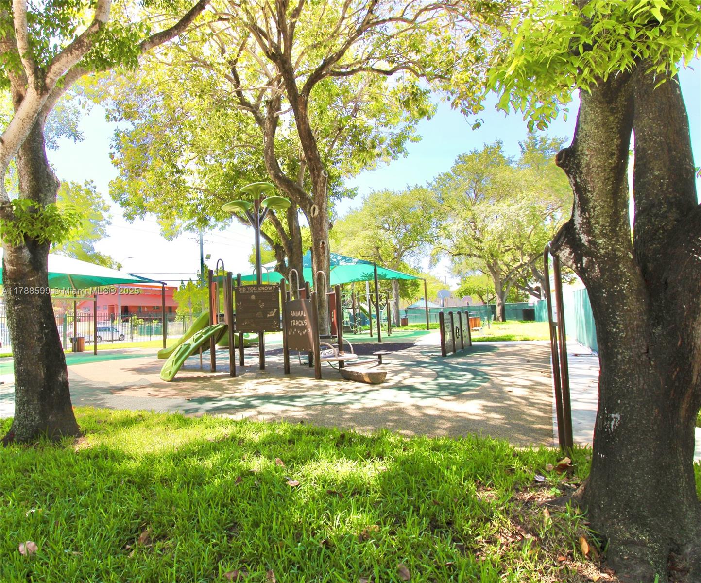 1021 Northwest 3rd Street, Unit 201 Miami, FL 33128 - Photo 20 of 27 a view of a yard with a tree