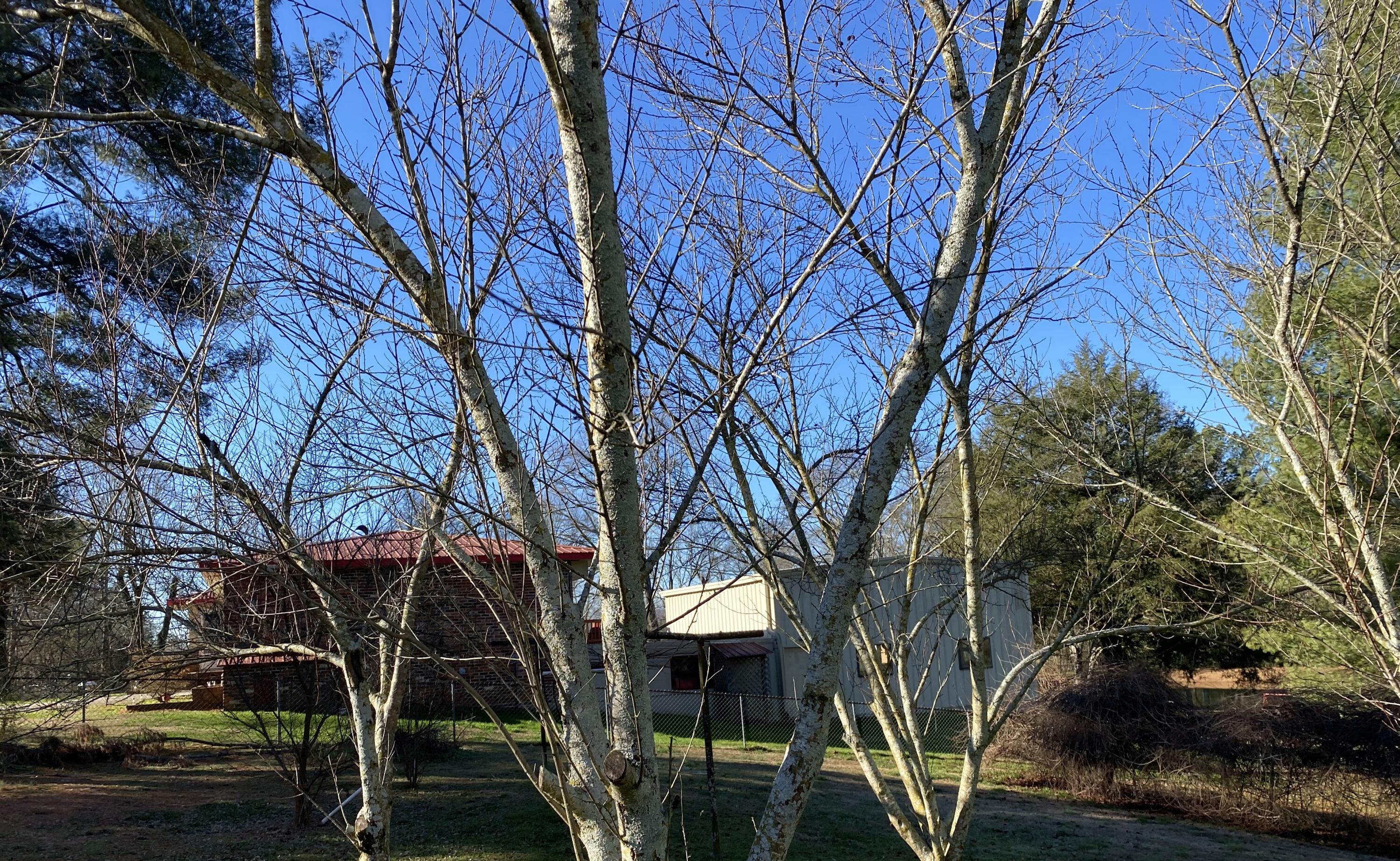 4628 Highway 337 LaFayette, GA 30728 - Photo 18 of 20 060DB3DC-6104-4423-8F28-89EB8D22CB57