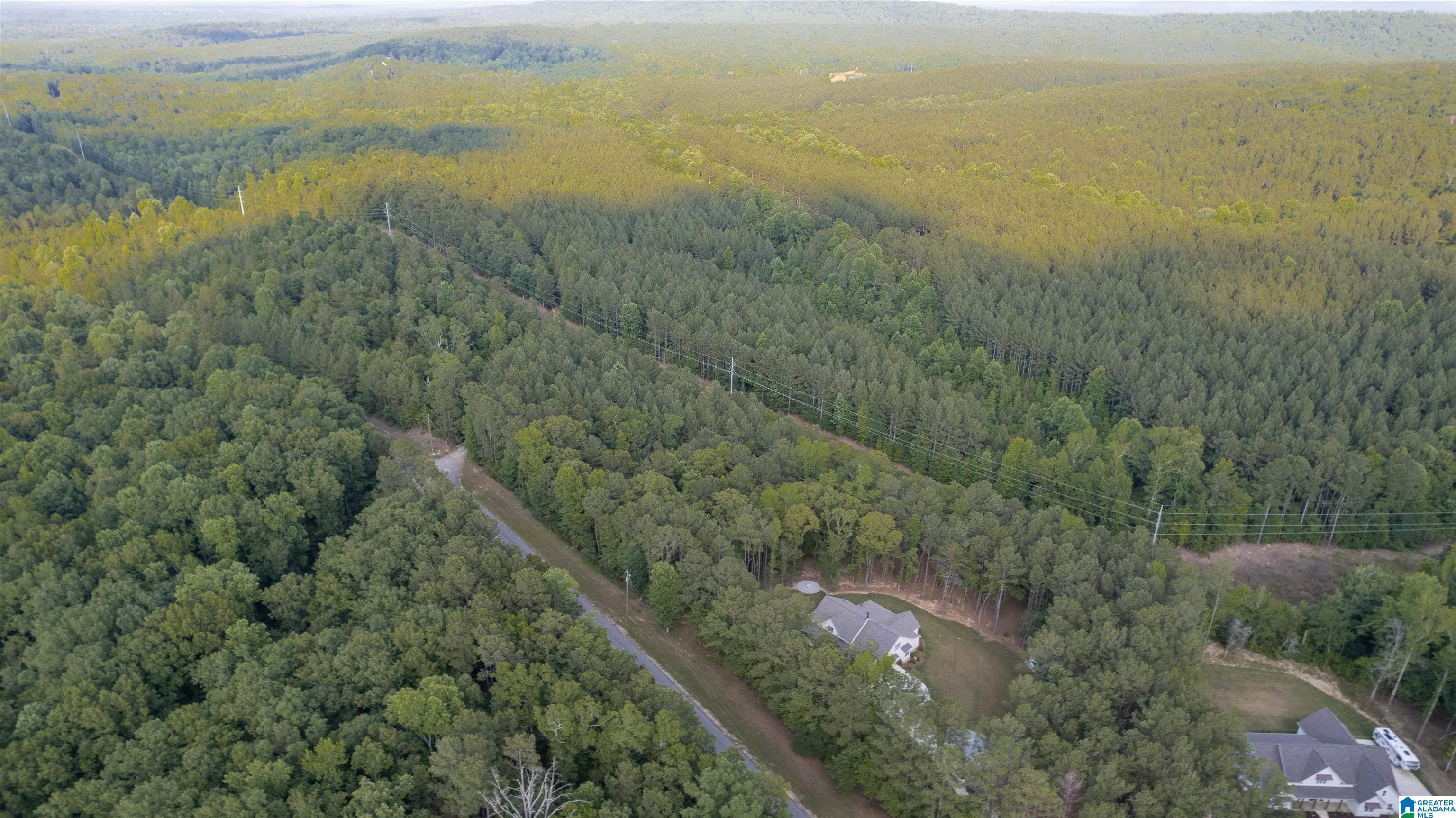 4324 Highway 331 Chelsea, AL 35043 - Photo 53 of 57