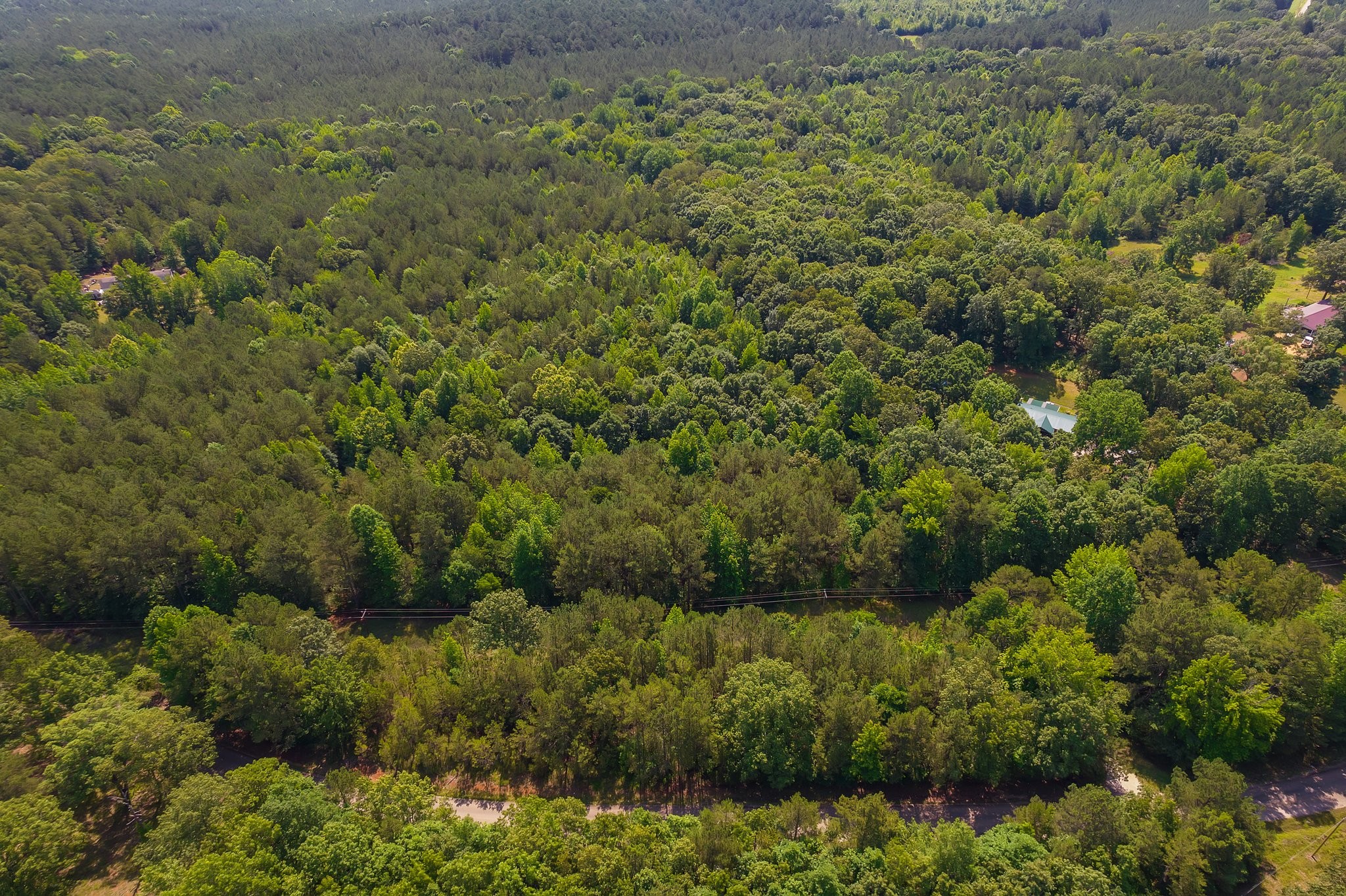 0 Gay Thompson Road Ramer, TN 38367 - Photo 12 of 26 Gallery Image 12