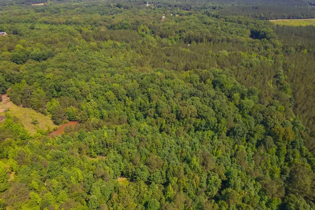 $67,000 | 0 Gay Thompson Road, Ramer, TN 38367