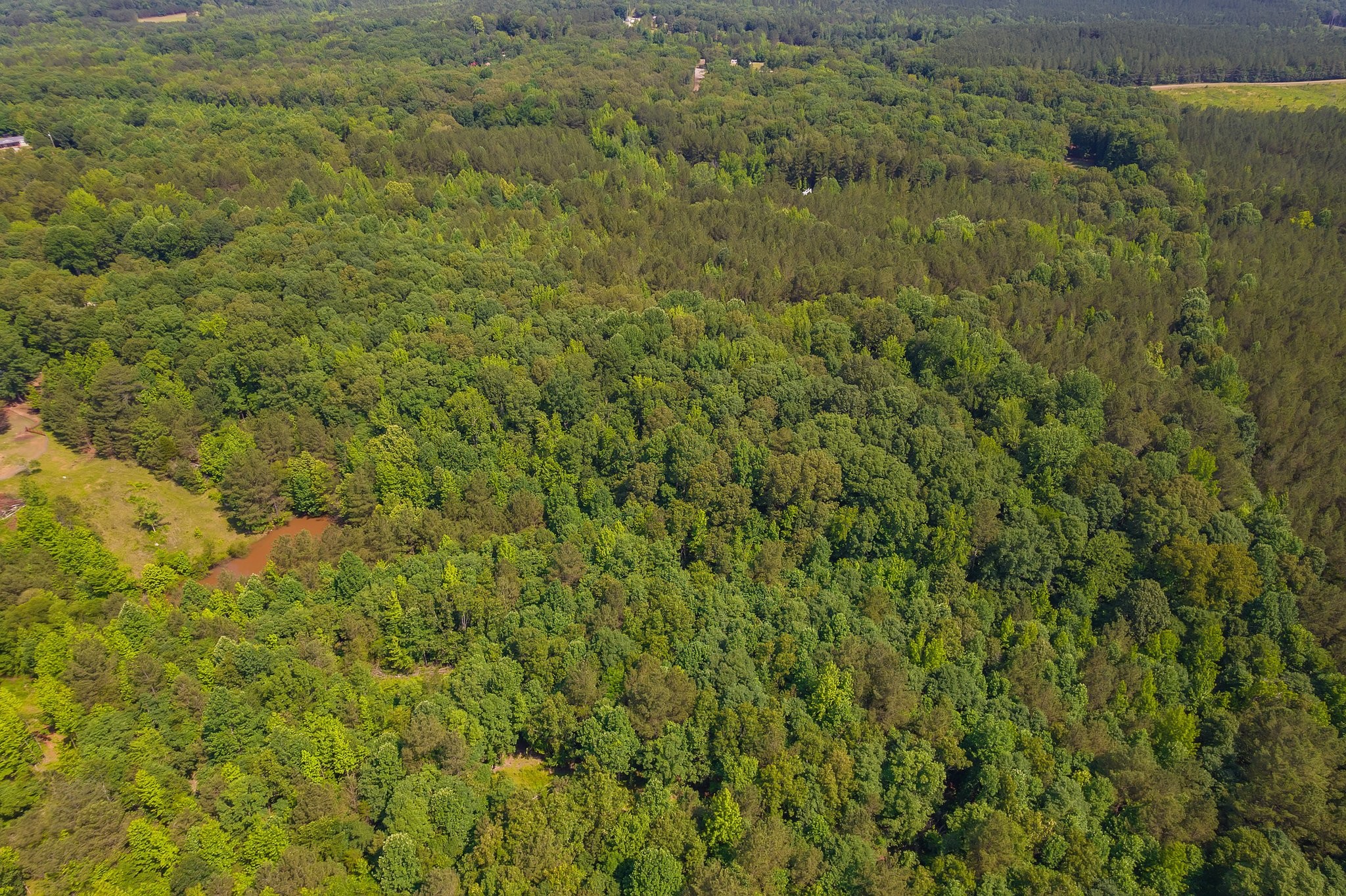 0 Gay Thompson Road Ramer, TN 38367 - Photo 16 of 26 Gallery Image 16