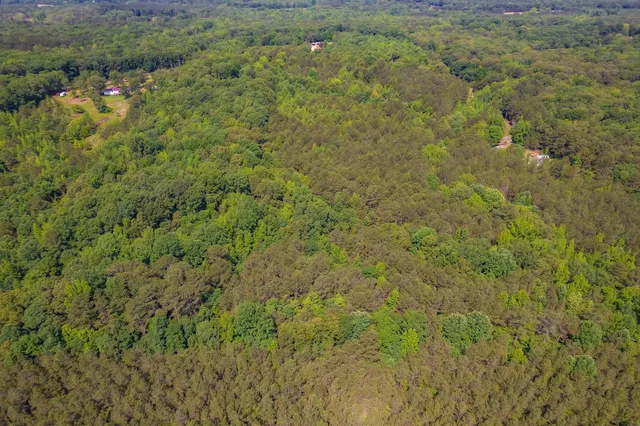 $67,000 | 0 Gay Thompson Road, Ramer, TN 38367