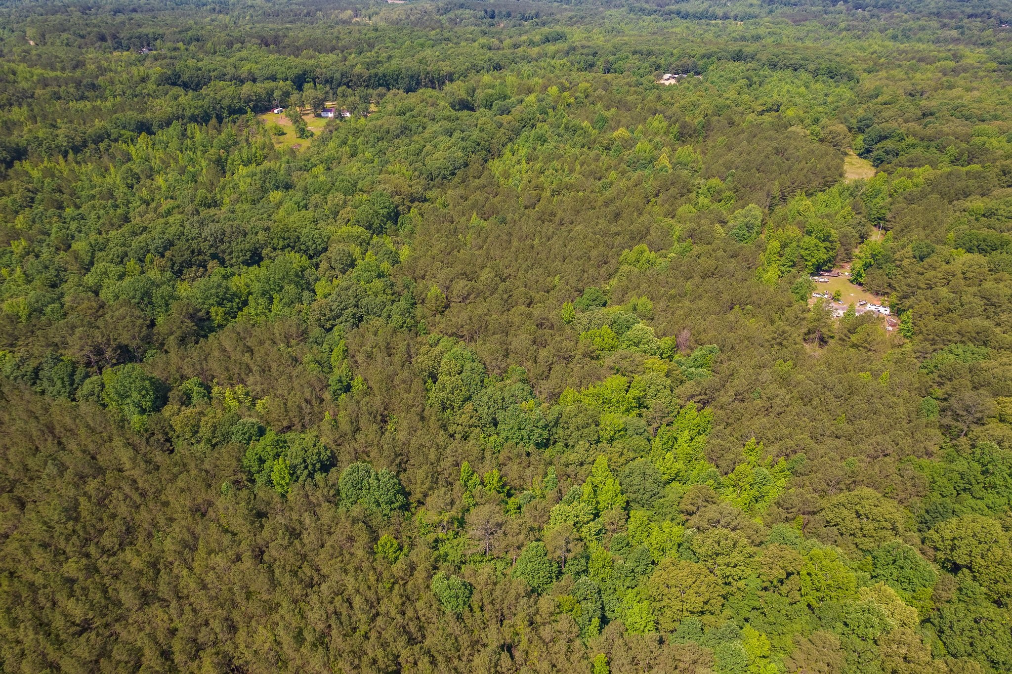 0 Gay Thompson Road Ramer, TN 38367 - Photo 19 of 26 Gallery Image 19