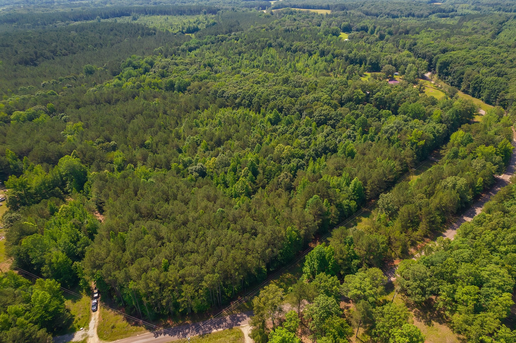 0 Gay Thompson Road Ramer, TN 38367 - Photo 23 of 26 Gallery Image 23