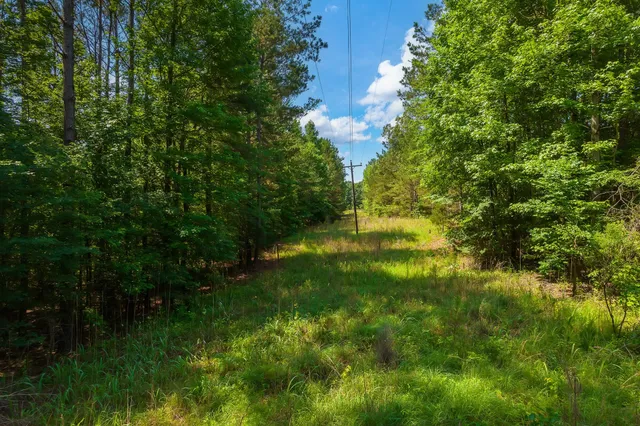 $67,000 | 0 Gay Thompson Road, Ramer, TN 38367